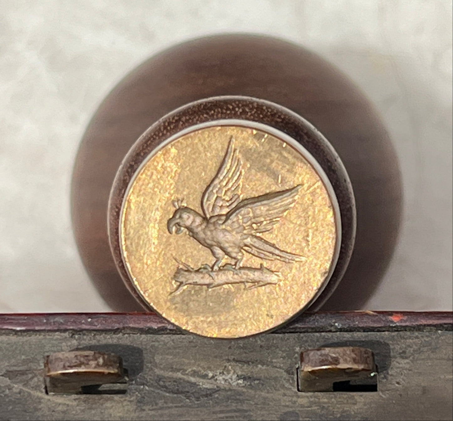 Bronze Seal – Parrot
